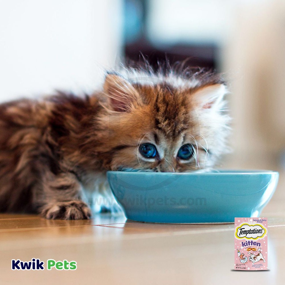 Temptations Kitten Cat Treat Salmon & Dairy, 3-oz, Temptations