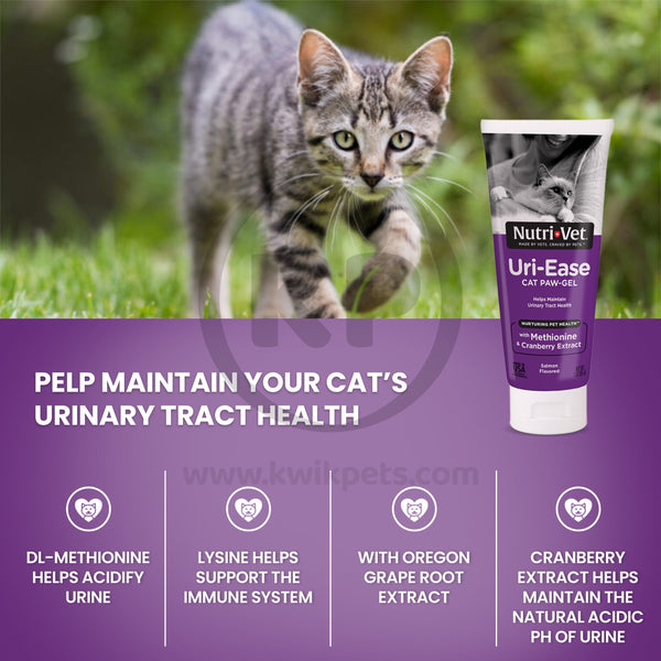 Nutri-Vet Uri-Ease Paw-Gel for Cats Salmon 3oz, Nutri-Vet