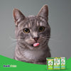 Greenies Feline Adult Cat Dental Treats Catnip, 4.6 oz, Greenies
