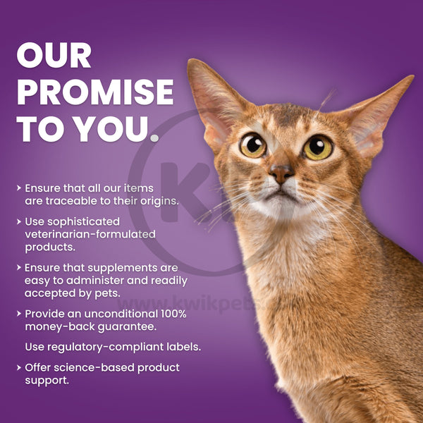 Nutri-Vet Uri-Ease Paw-Gel for Cats Salmon 3oz, Nutri-Vet