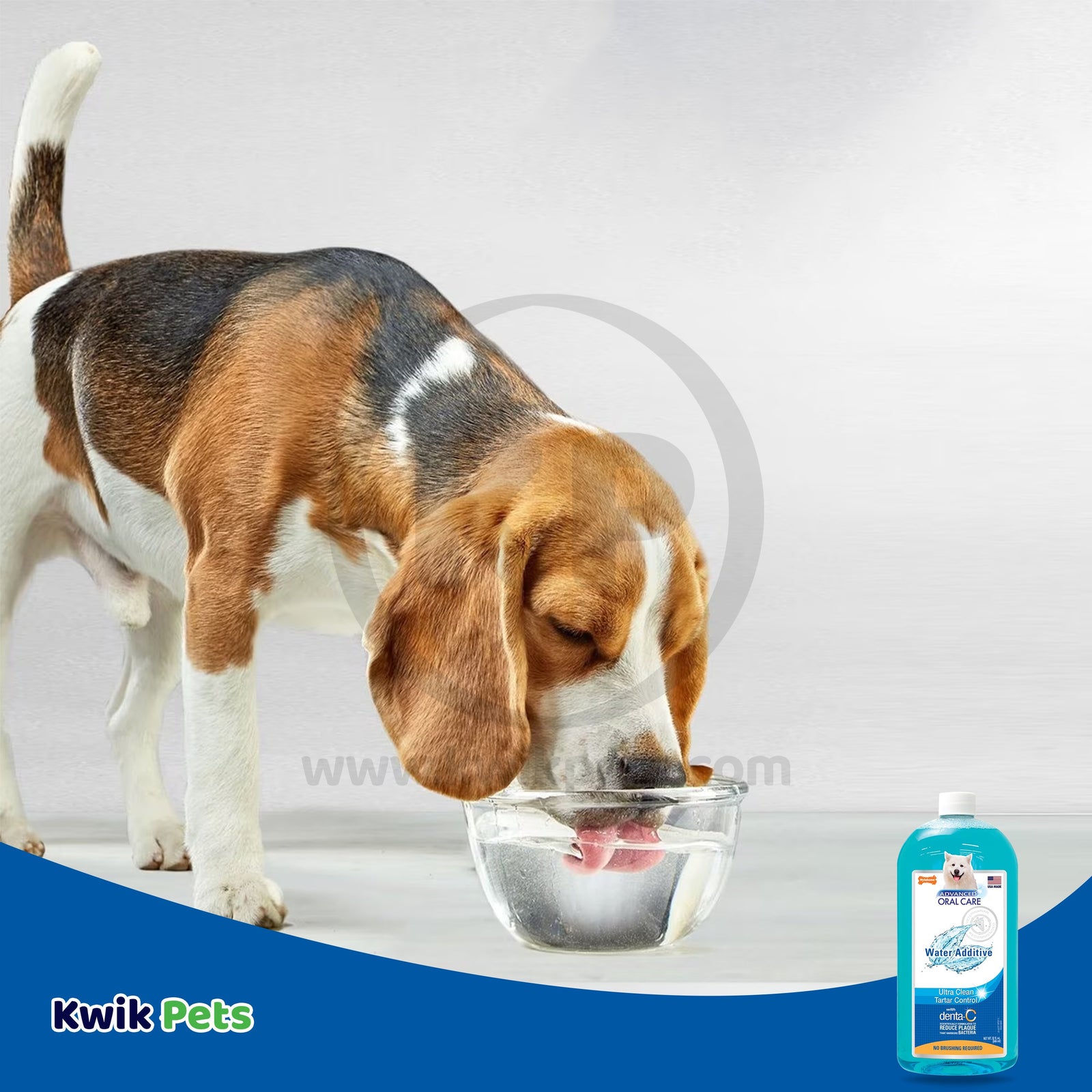 Buy Nylabone Advanced Oral Care Water Additive for Dogs Original