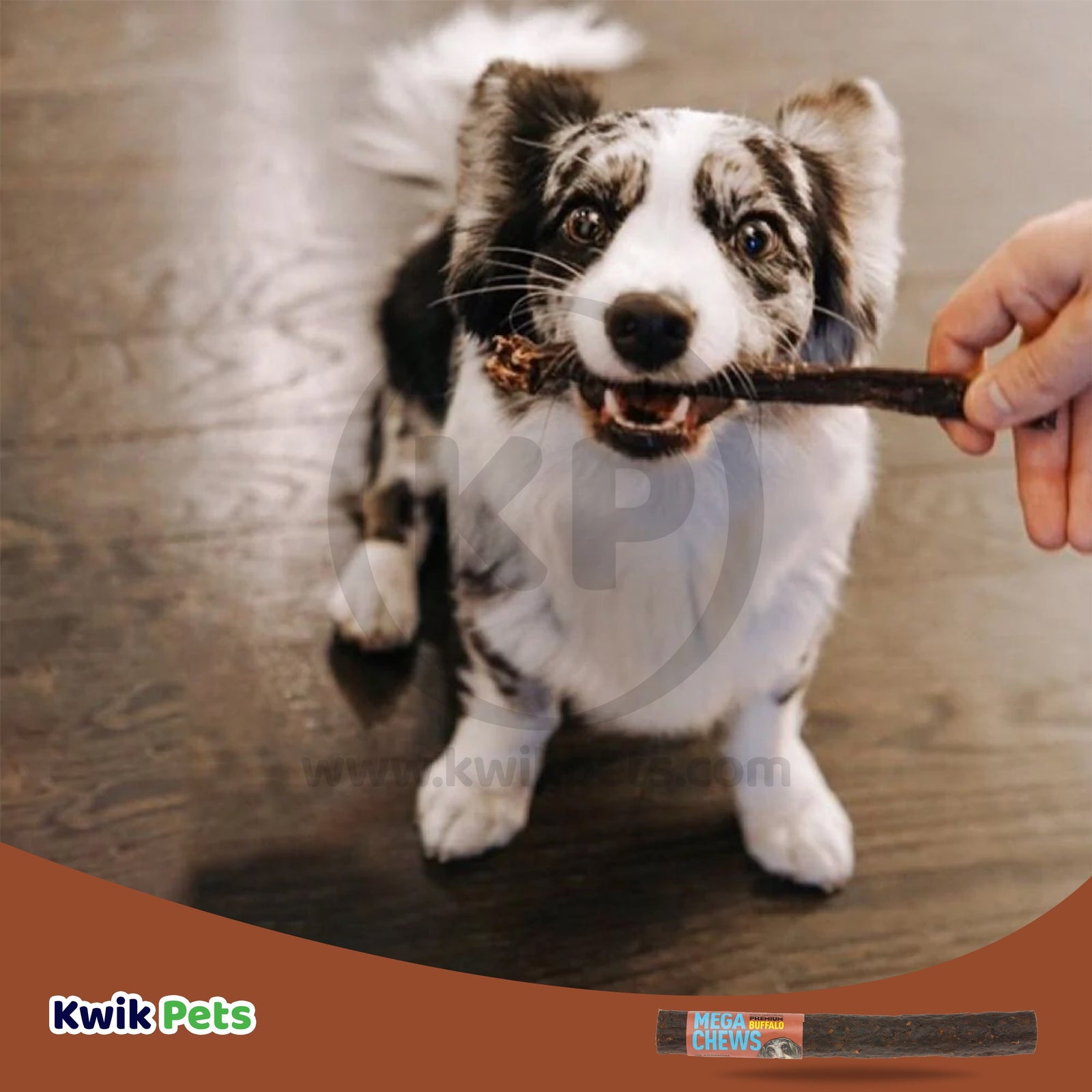 Etta Says! Premium Crunchy Buffalo Chews Dog Treat
