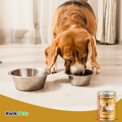 Dog Image of CANIDAE All Life Stages Canned Dog Food Chicken & Rice 13-oz