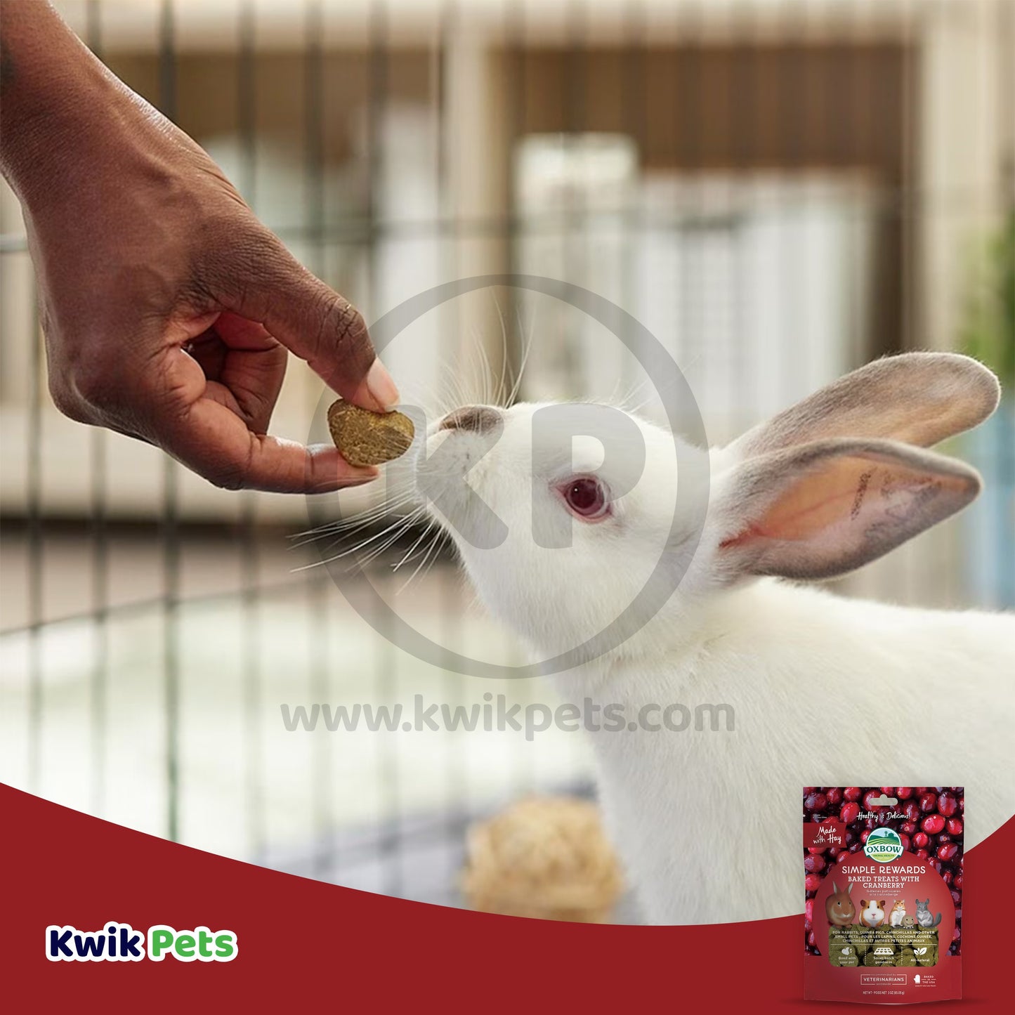 Oxbow Animal Health Simple Rewards Baked Small Animal Treats w/Cranberry, 3 oz, Oxbow