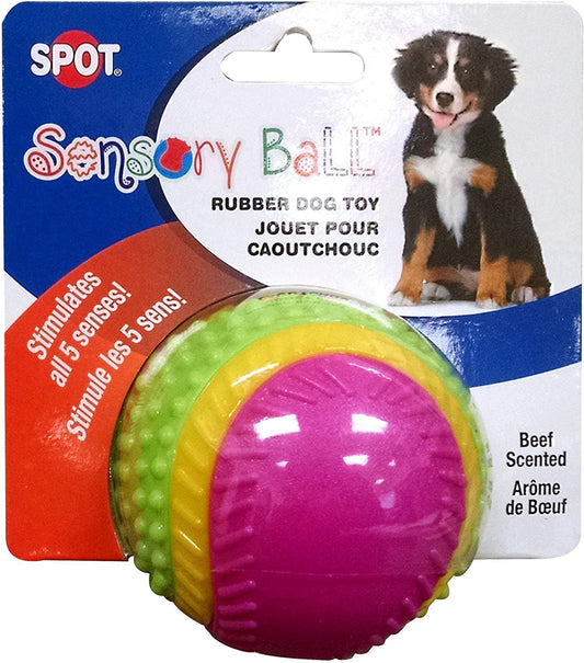 Spot Sensory Ball 3.5 in. MD, Assorted, Ethical Pets