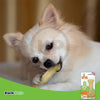 Nylabone Flex Chew Toy for Small/Regular Dogs - Chicken Flavor, 25 Lb - 7