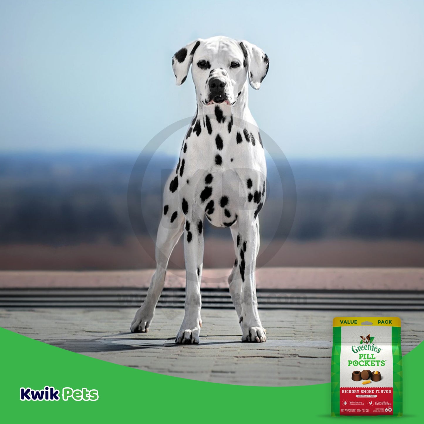 Greenies Pill Pockets Dog Treats Hickory Smoke Capsule 60 ct, 15.8 oz, Greenies