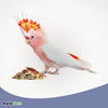 Volkman Seed Company Avain Science Super Hookbill Bird Treat 2lb, Volkman