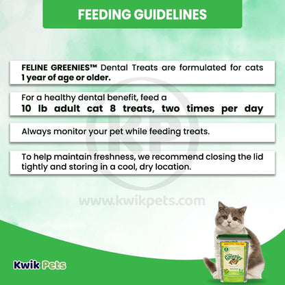 Greenies Feline Dental Treat Catnip - Jumbo Tub 11oz, Greenies