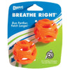ChuckIt! Breathe Right Fetch Ball Dog Toy, Small, Pack of 2, Chuckit