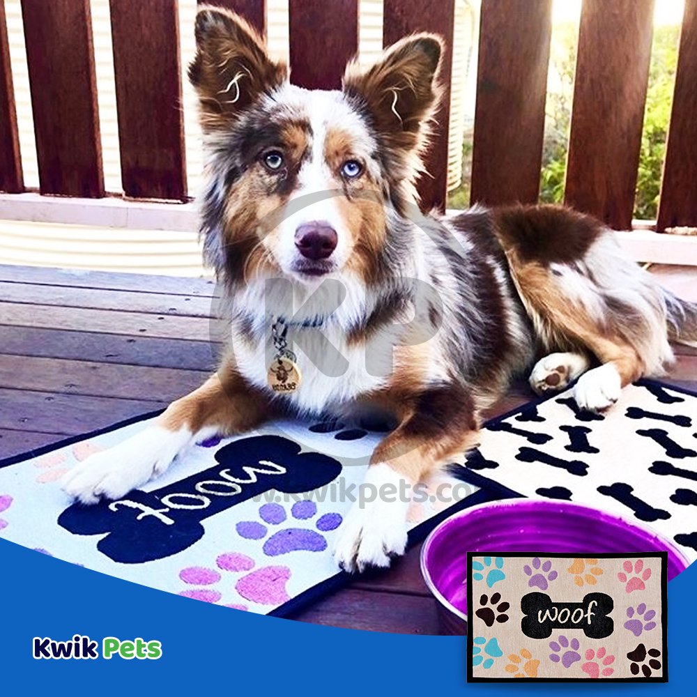 Loving Pets Fashion Mat Woof with Multi Paws Multi-Color, Loving Pets