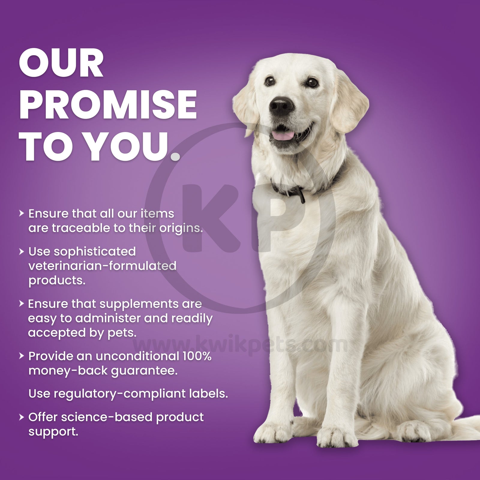 Our promise to you image of Nutri-Vet Bladder Control Liver Chewables for Dogs 90 Count

