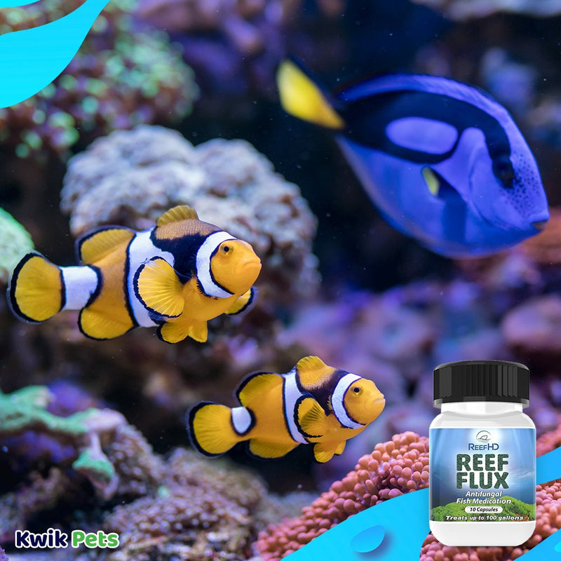 ReefHD Reef Flux Antifungal Fish Medication 10 Capsules, ReefHD