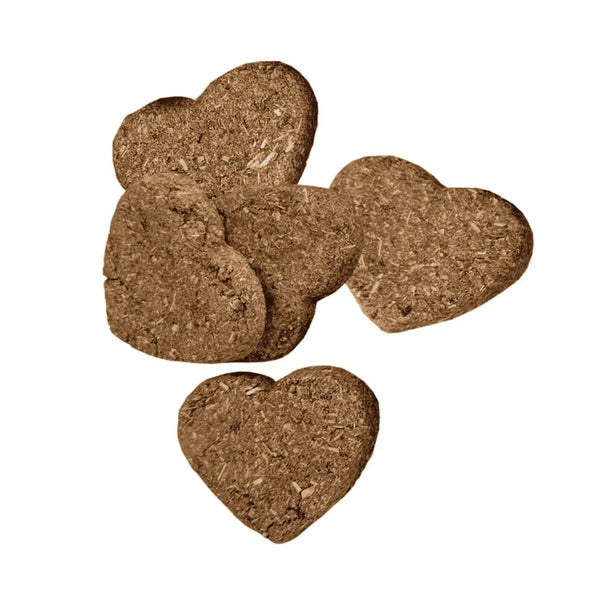 Oxbow Animal Health Simple Rewards Baked Small Animal Treats w/Apple & Banana, 3 oz, Oxbow