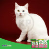 Greenies Feline Adult Cat Dental Treats Savory Salmon, 4.6 oz, Greenies