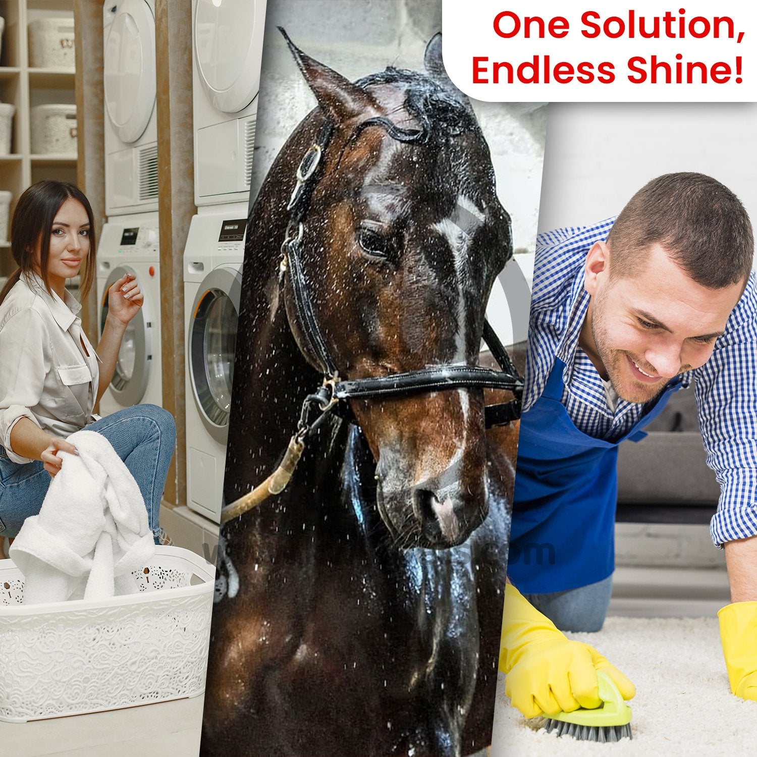 Orvus Wa Paste Cleaner - 120 Ounce, Orvus