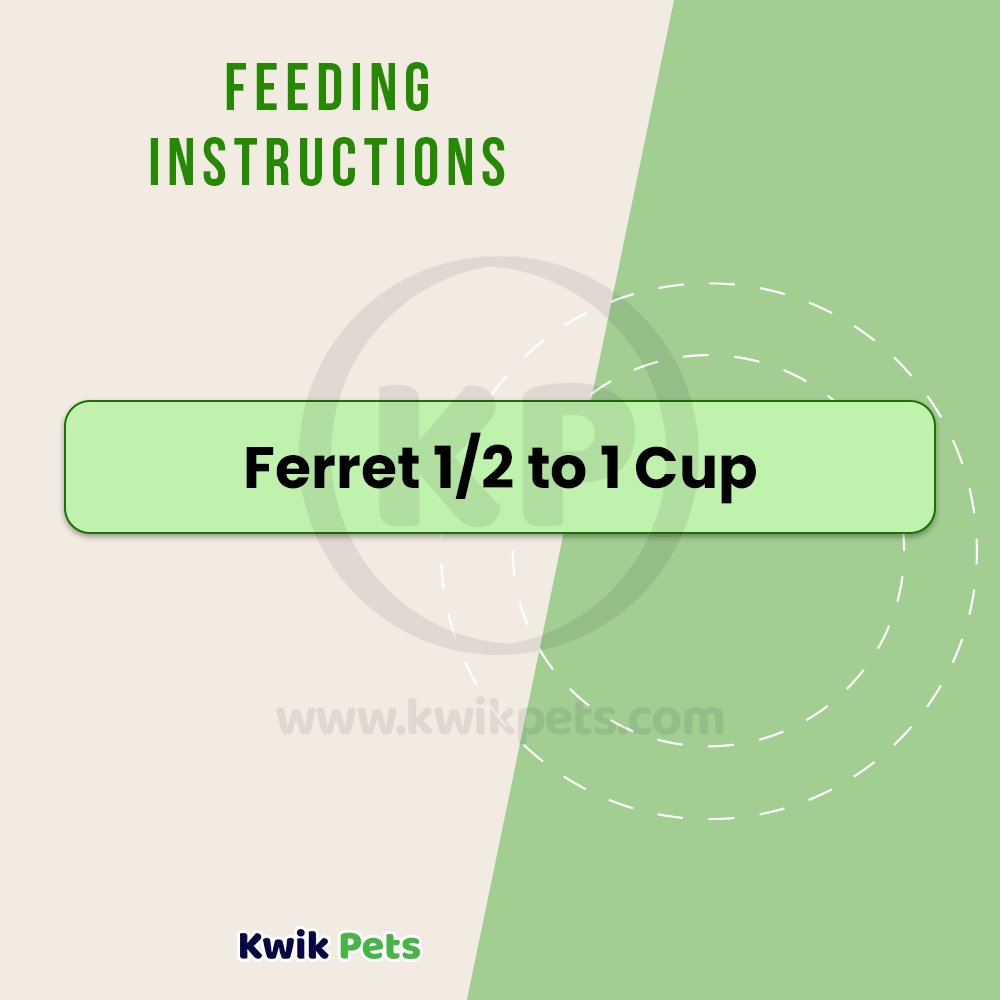 Kaytee Fiesta Max Ferret 2.5lb, Kaytee