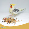 Volkman Seed Company Avain Science Super Cockatiel Bird Treat without Sunflower Seed 4 lb, Volkman