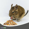 Volkman Seed Company Small Animal Rat & Mouse Menu Dry Food, 4 lb, Volkman