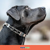 Herm Sprenger Extra Links for Dog Prong Collar 2.25mm - Kwik Pets