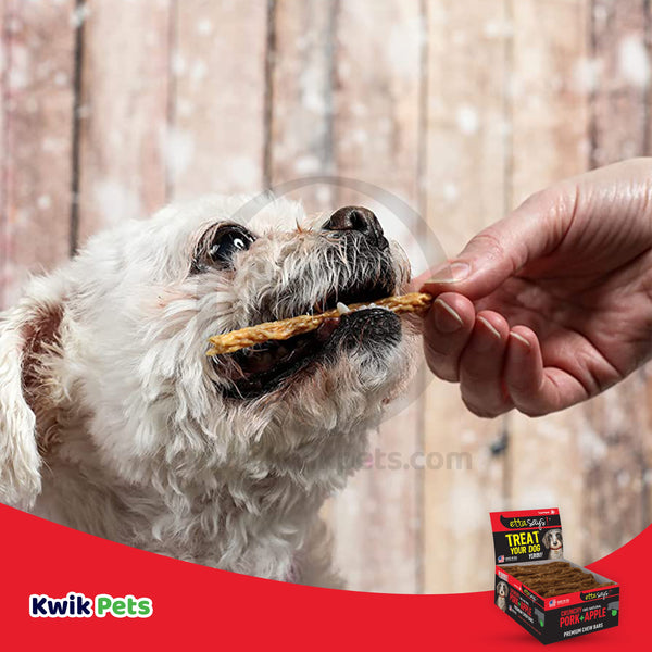 Etta Says! Premium Crunchy Bars Pork & Apple Dog Treats, Etta Says