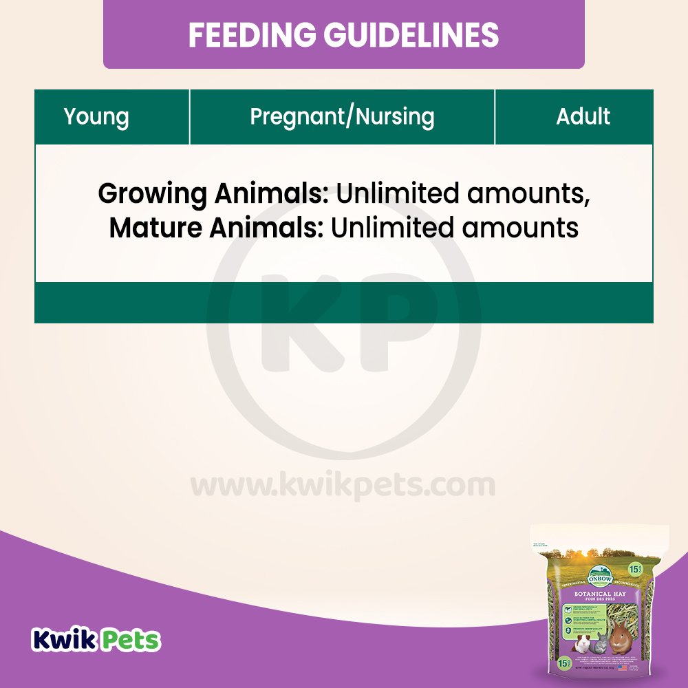 Oxbow Animal Health Botanical Hay Small Animal Treat, 15 oz, Oxbow