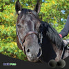 Equine Healthcare International Pomms Premium Horse Ear Plugs, 2 count - Kwik Pets