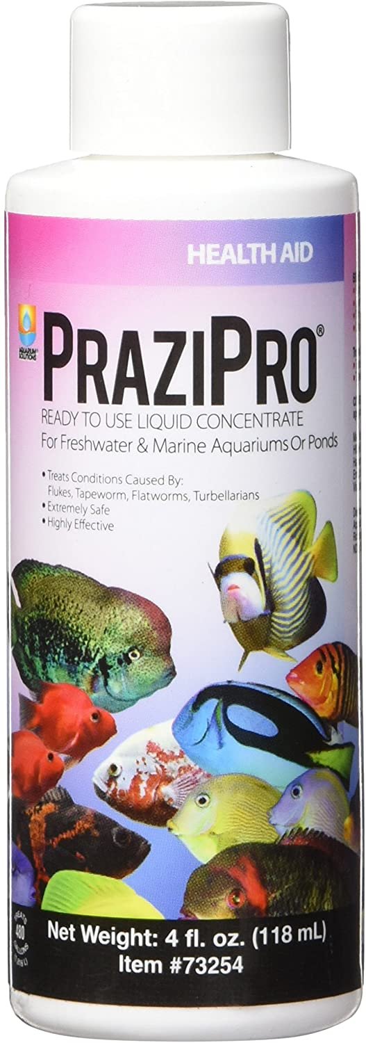 Aquarium Solutions Prazipro Liquid Treatment 4-oz, Aquarium Solutions