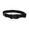 Coastal Adjustable Nylon Dog Collar with Plastic Buckle Black, 3/8 in. X 8-12 in., Coastal Pet