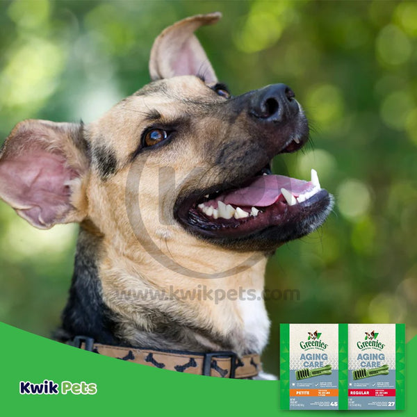 Greenies Senior Aging Care Regular Natural Dental Dog Treats, 27oz, Greenies