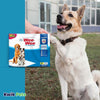 Four Paws Wee-Wee Superior Performance Dog Pads XL, 75 ct, Four Paws