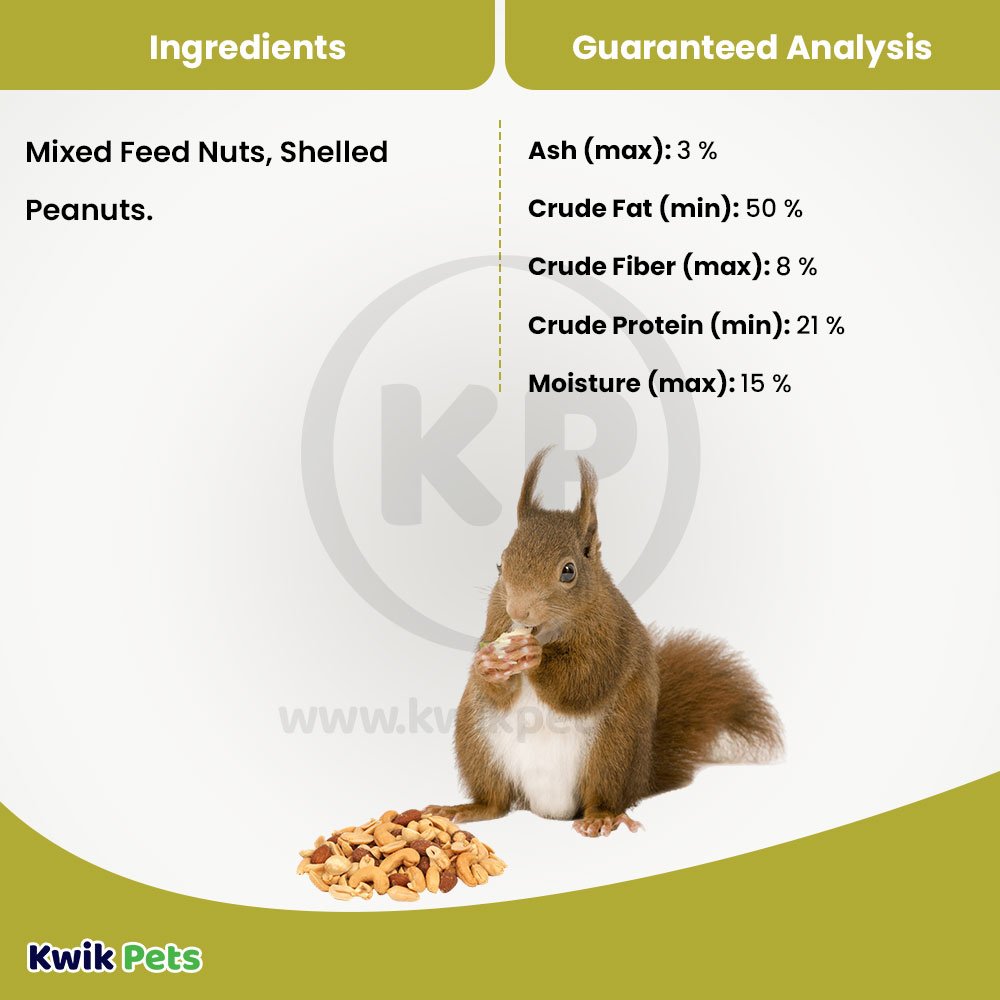 Volkman Seed Small Animal Squirrel Delight All Nut Mix 4lb, Volkman