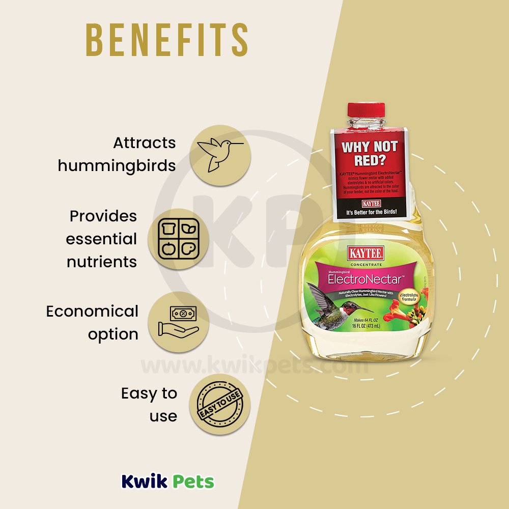 Kaytee Concentrate Electronectar 16oz, Kaytee