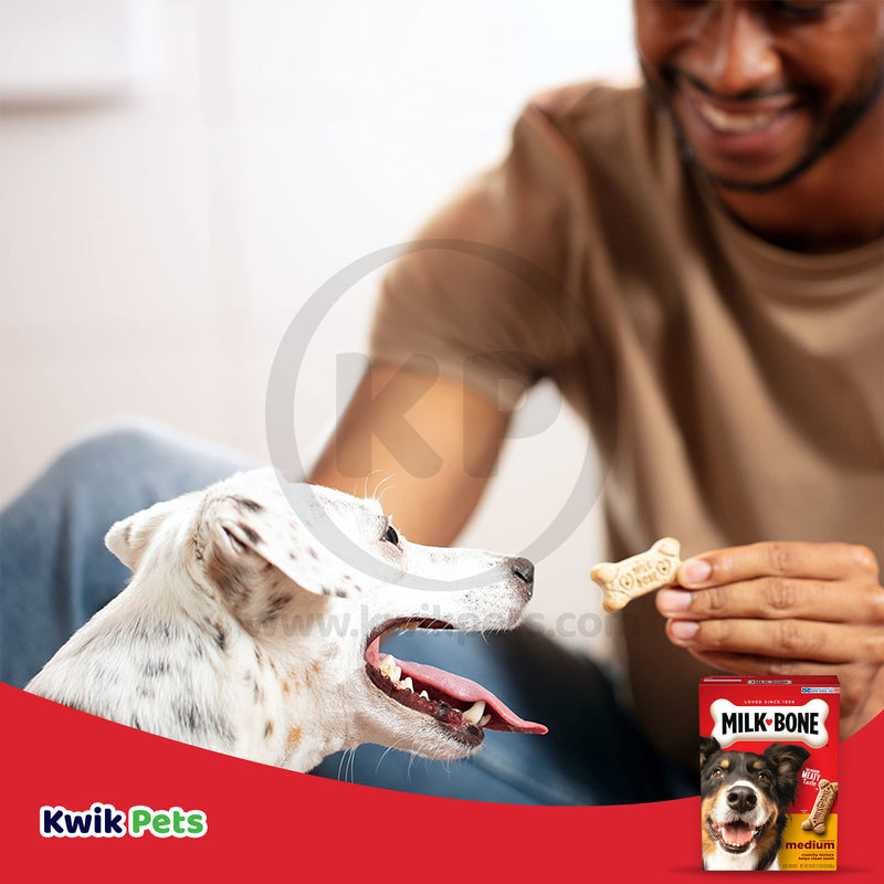 Milk-Bone Original Dog Biscuits Medium, 24 oz, Milk-Bone