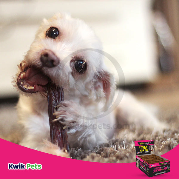 Etta Says! Premium Crunchy Bars Chicken & Chia Dog Treats, Etta Says