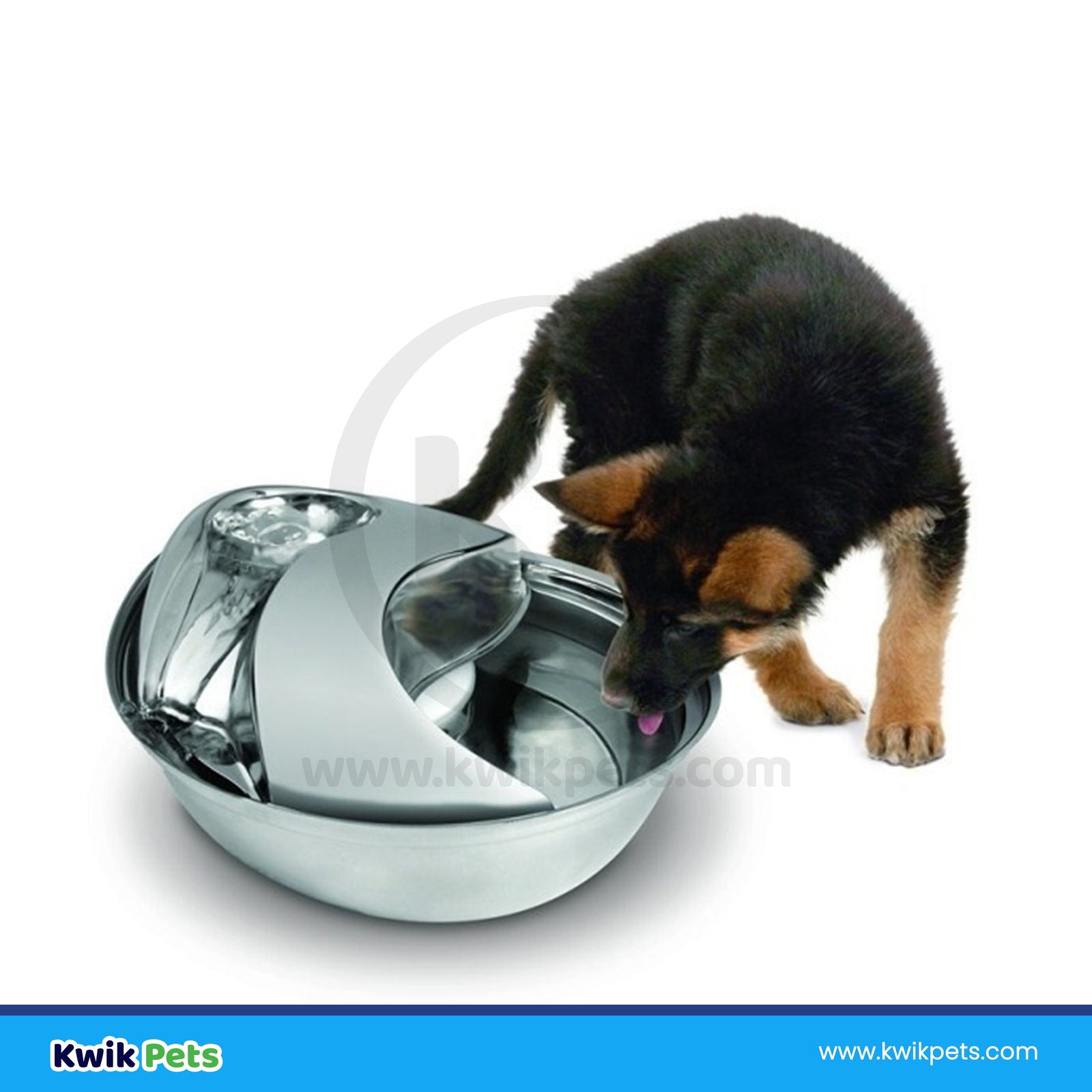 Pioneer Pet Products Raindrop Stainless Steel Drinking Fountain