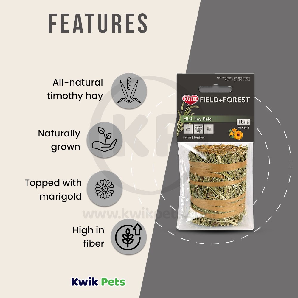 Field+Forest by Kaytee Mini Hay Bales Marigold 3.5-oz, Kaytee