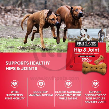 Nutri-Vet Hip & Joint Dog Biscuits Peanut Butter, Large. 6-lb, Nutri-Vet