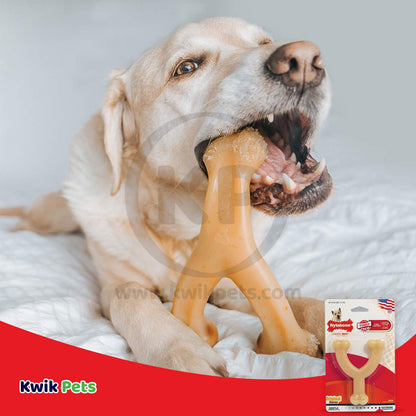 Nylabone Dura Chew Wishbone - Original Flavor For Dogs up to 25 lbs Small/Regular, Nylabone