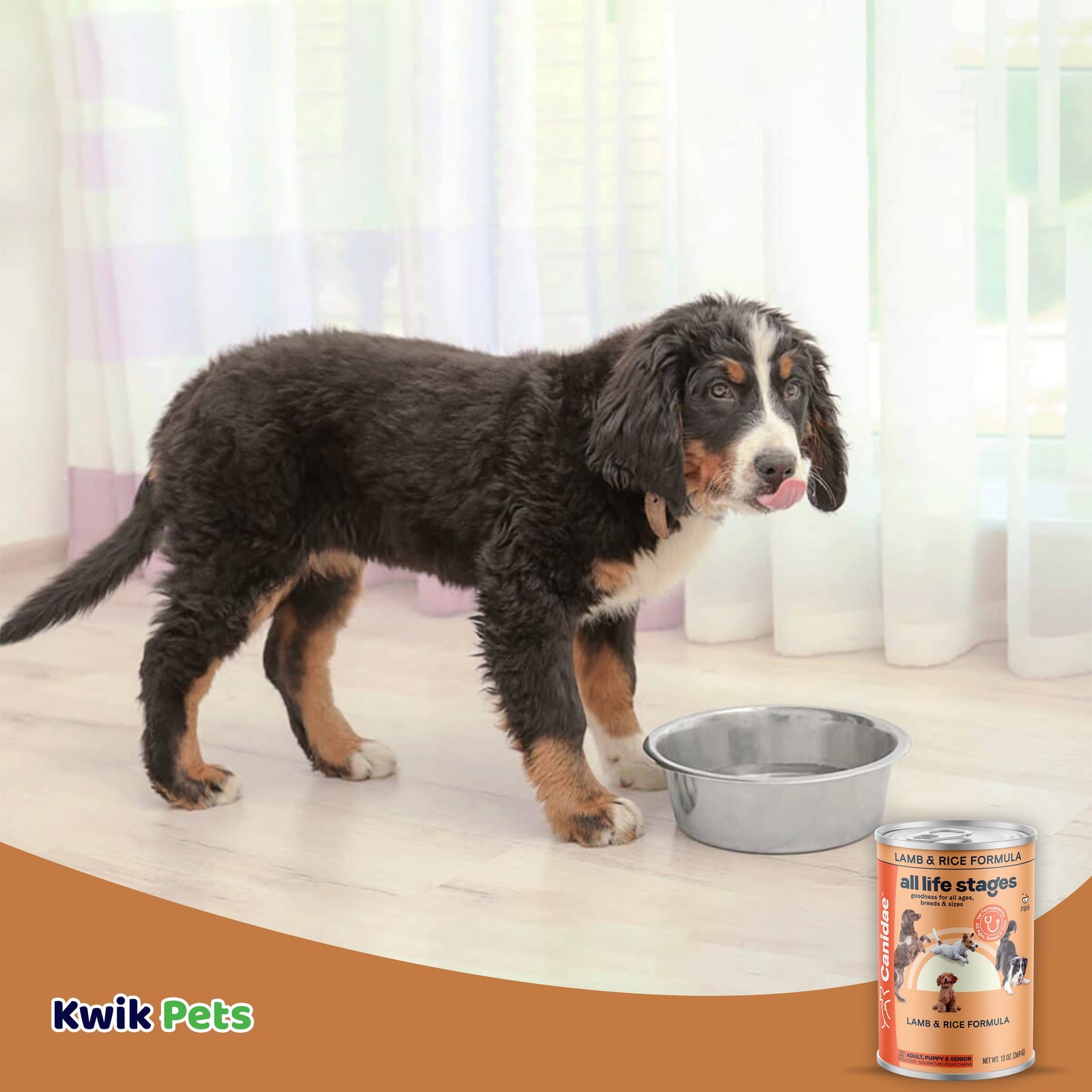 Dog Image of CANIDAE All Life Stages Canned Dog Food Lamb & Rice 13-oz