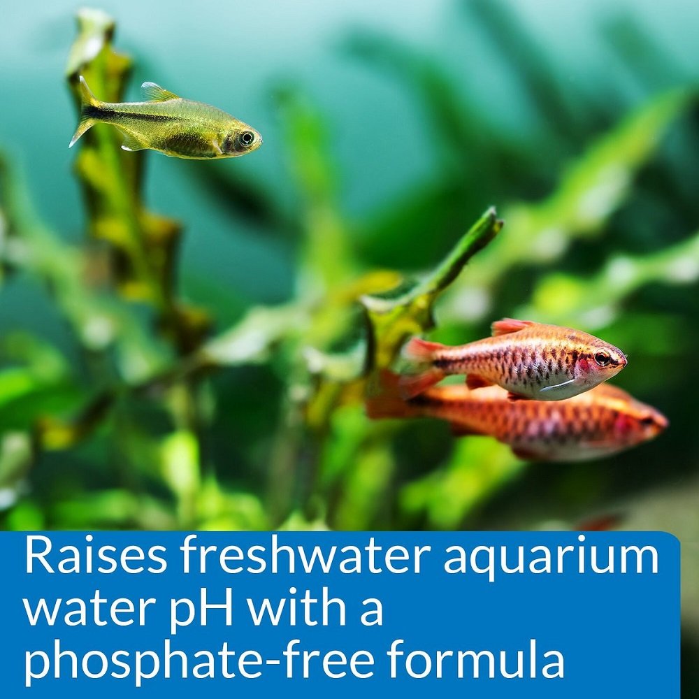 API pH Up Freshwater Aquarium Water Treatment, 1.25 Oz - 5