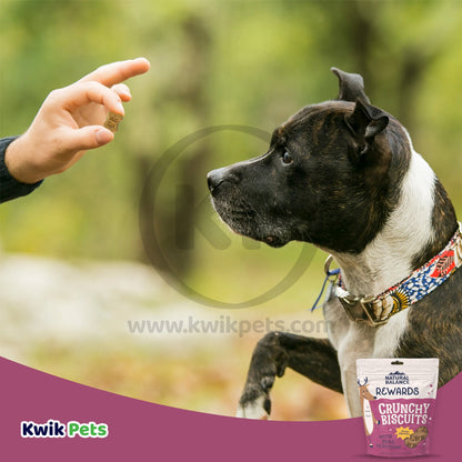 Natural Balance Pet Foods Rewards Crunchy Biscuits Dog Treats Venison, 28 oz - Kwik Pets