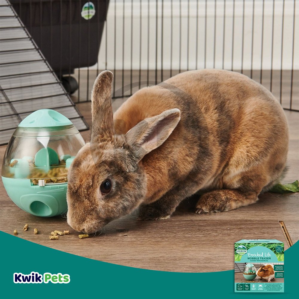 Oxbow Animal Health Enriched Life Wobble Teaser Small Animal Toy, One Size, Oxbow