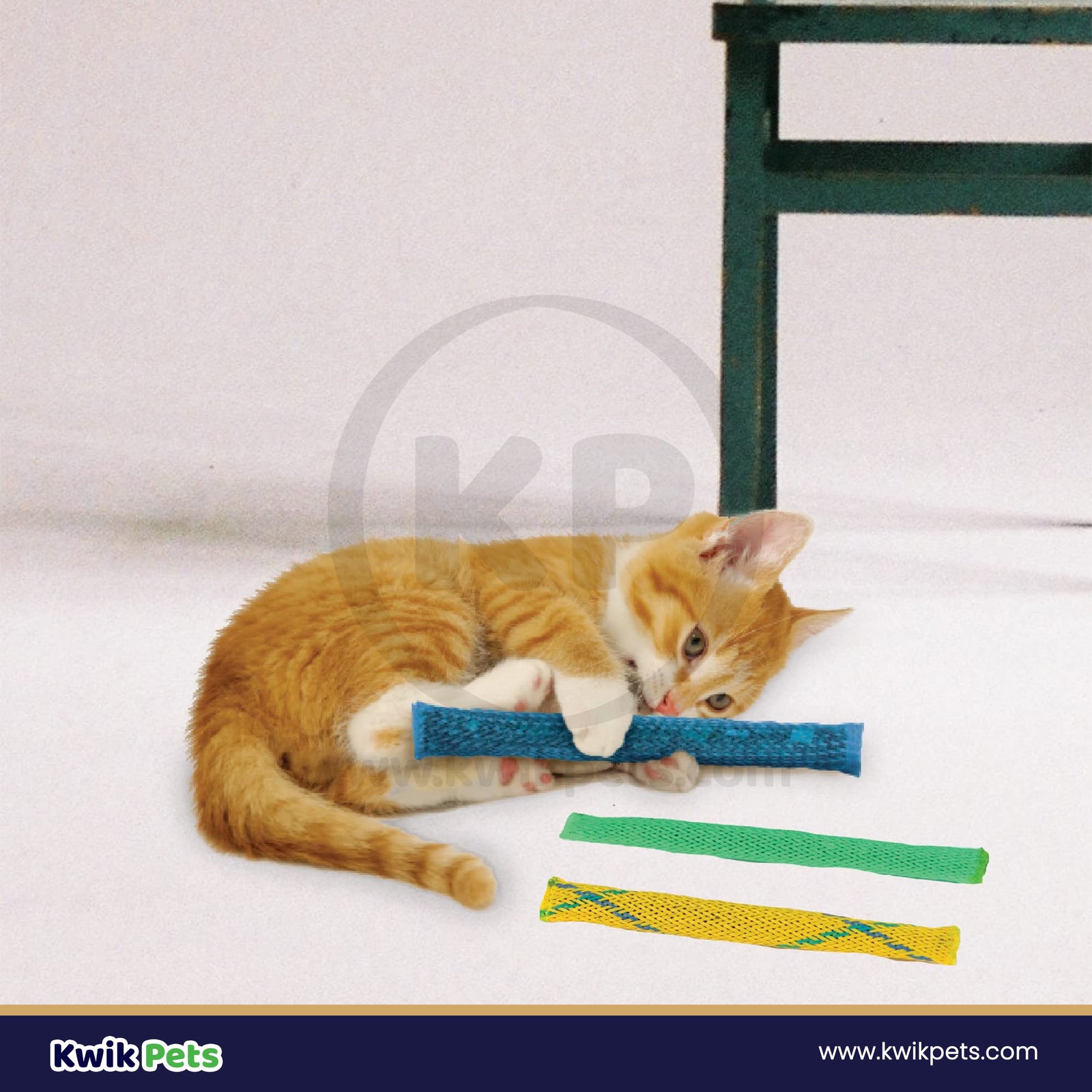 Cat Playing with Pioneer Pet Nip Nibbler Catnip Toy 3 Count