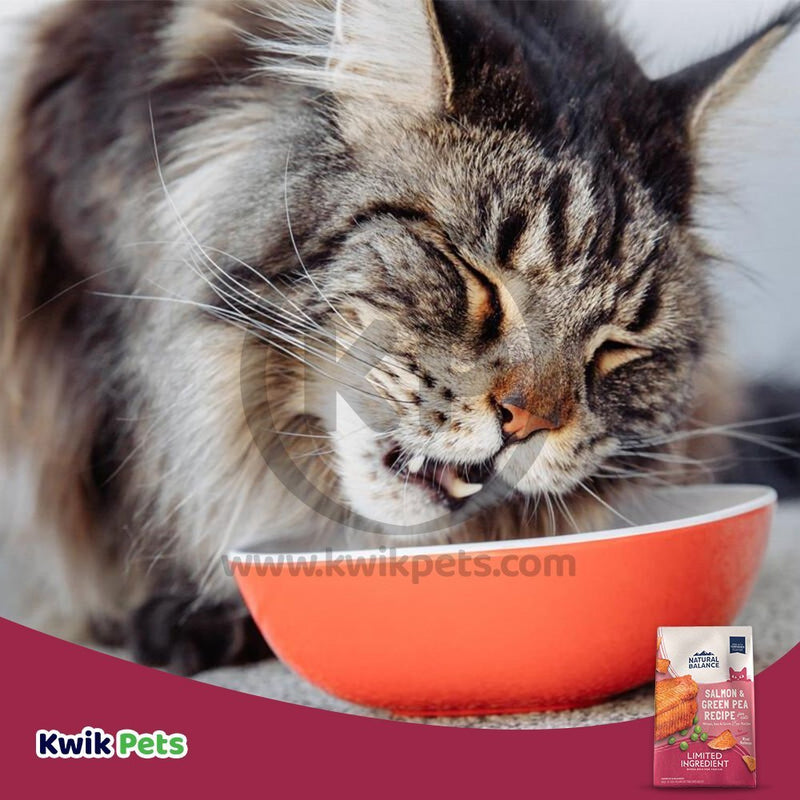 Natural Balance Pet Foods L.I.D. Dry Cat Food Green Pea & Salmon, 10 lb - Kwik Pets