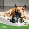 Natural Balance Vegetarian Dry Dog Food 4.5lb - Kwik Pets