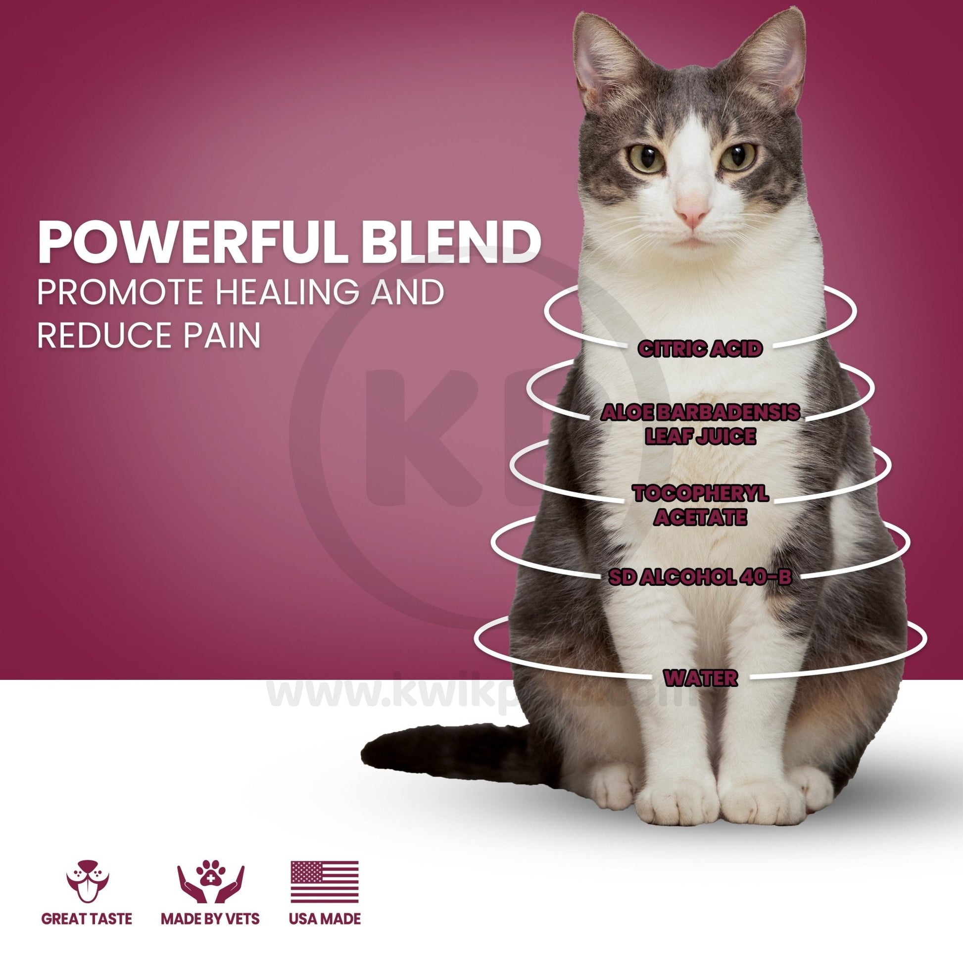 Nutri-Vet Antimicrobial Cat Wound Spray 4oz - Kwik Pets