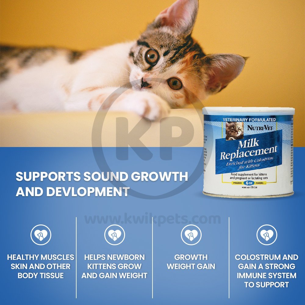 Nutri-Vet Kitten Milk Replacement Powder 6oz - Kwik Pets