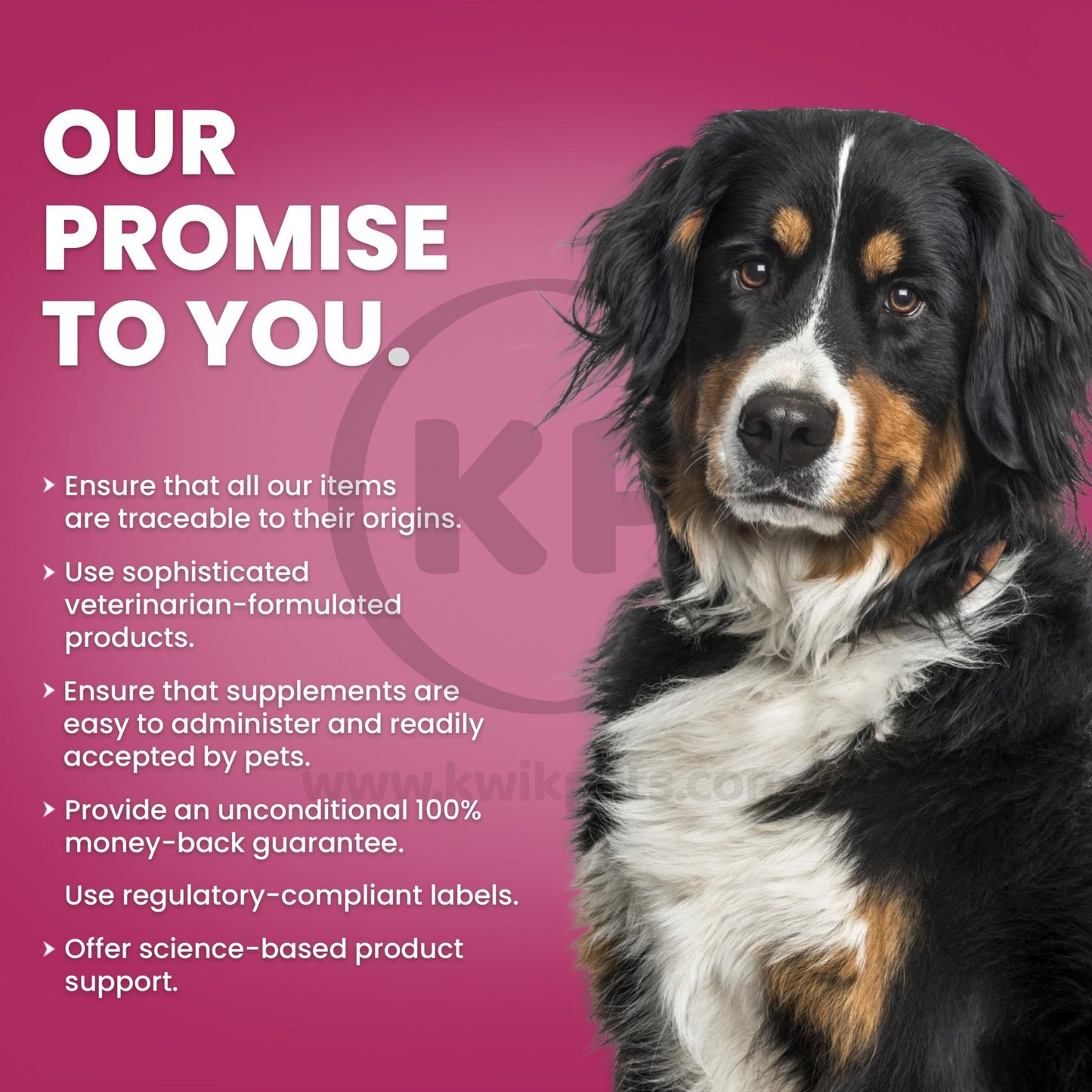 Nutri-Vet Liquid Bandage Spray for Dogs, 2 oz - Kwik Pets