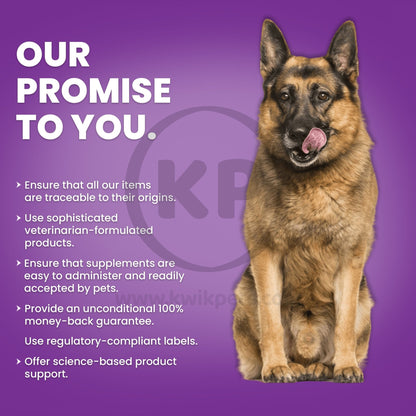 Nutri-Vet Probiotics for Dogs, 60 ct - Kwik Pets